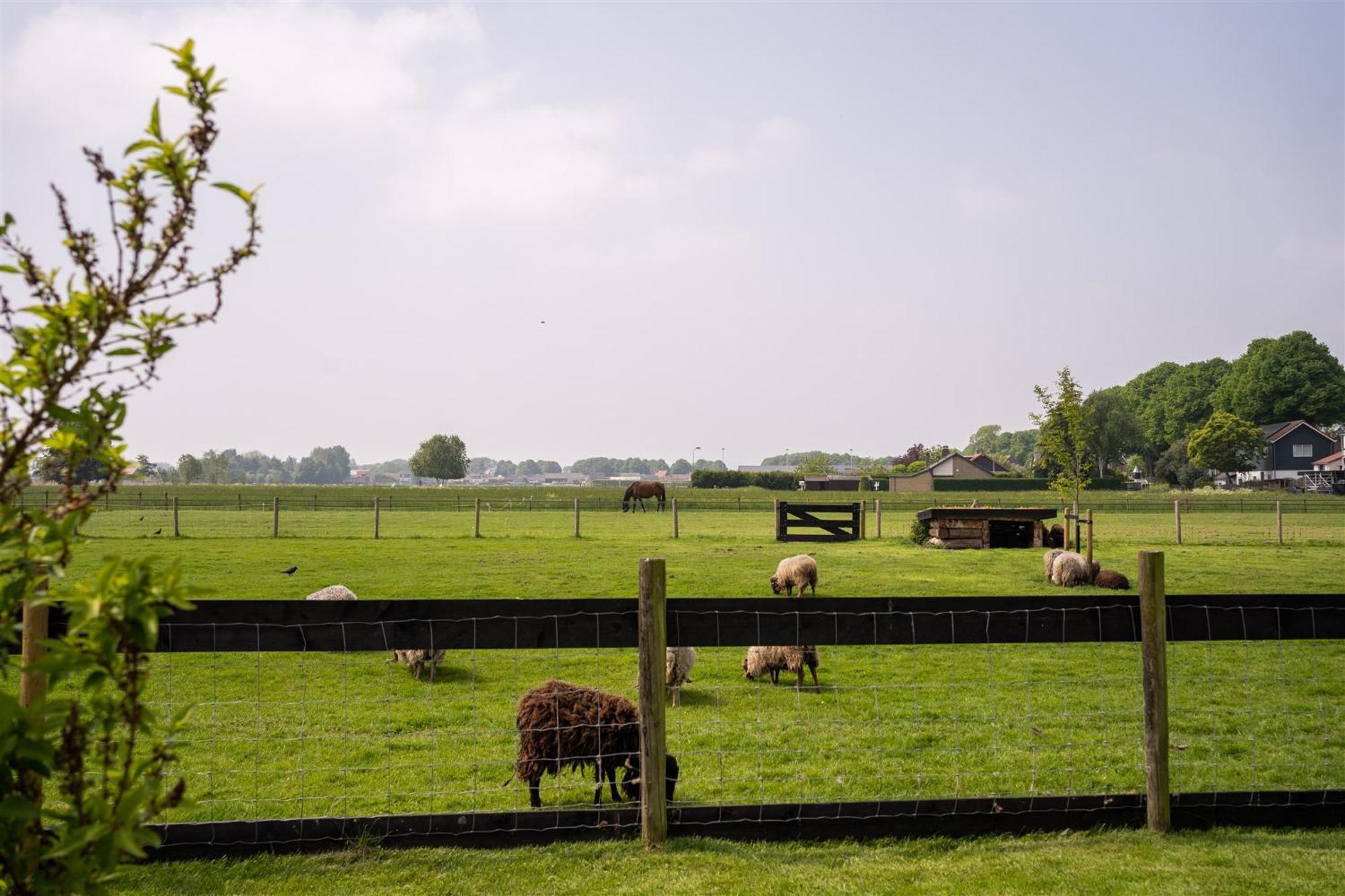 Vakantiewoning Le Garaazje 'S-Gravendeel エクステリア 写真