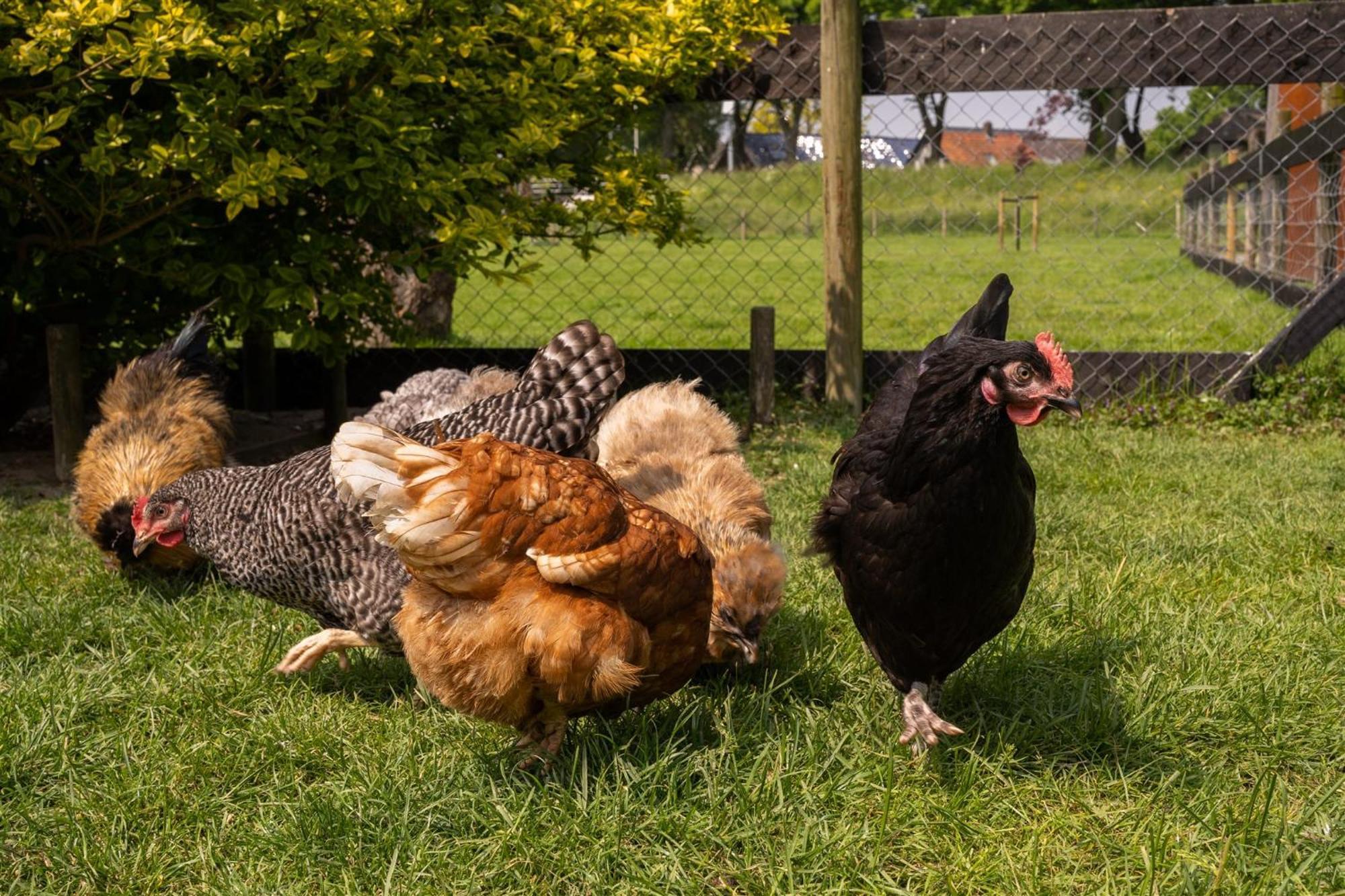Vakantiewoning Le Garaazje 'S-Gravendeel エクステリア 写真