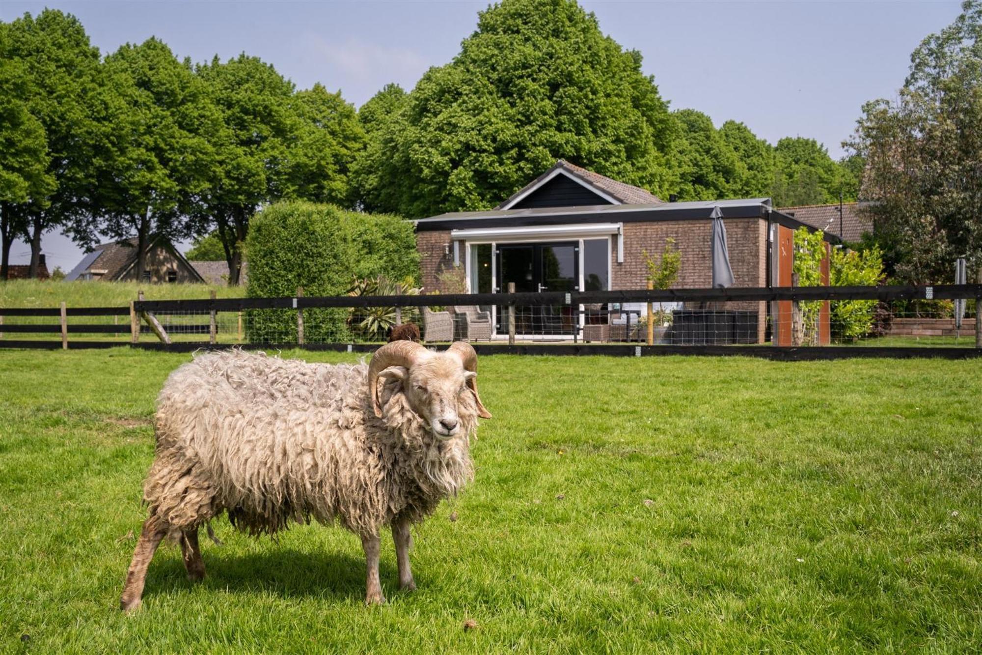 Vakantiewoning Le Garaazje 'S-Gravendeel エクステリア 写真
