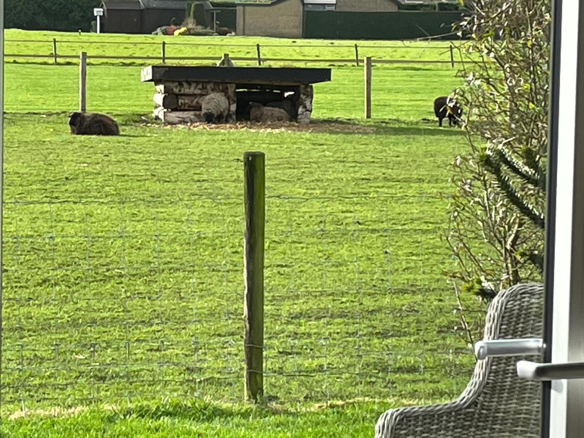 Vakantiewoning Le Garaazje 'S-Gravendeel エクステリア 写真