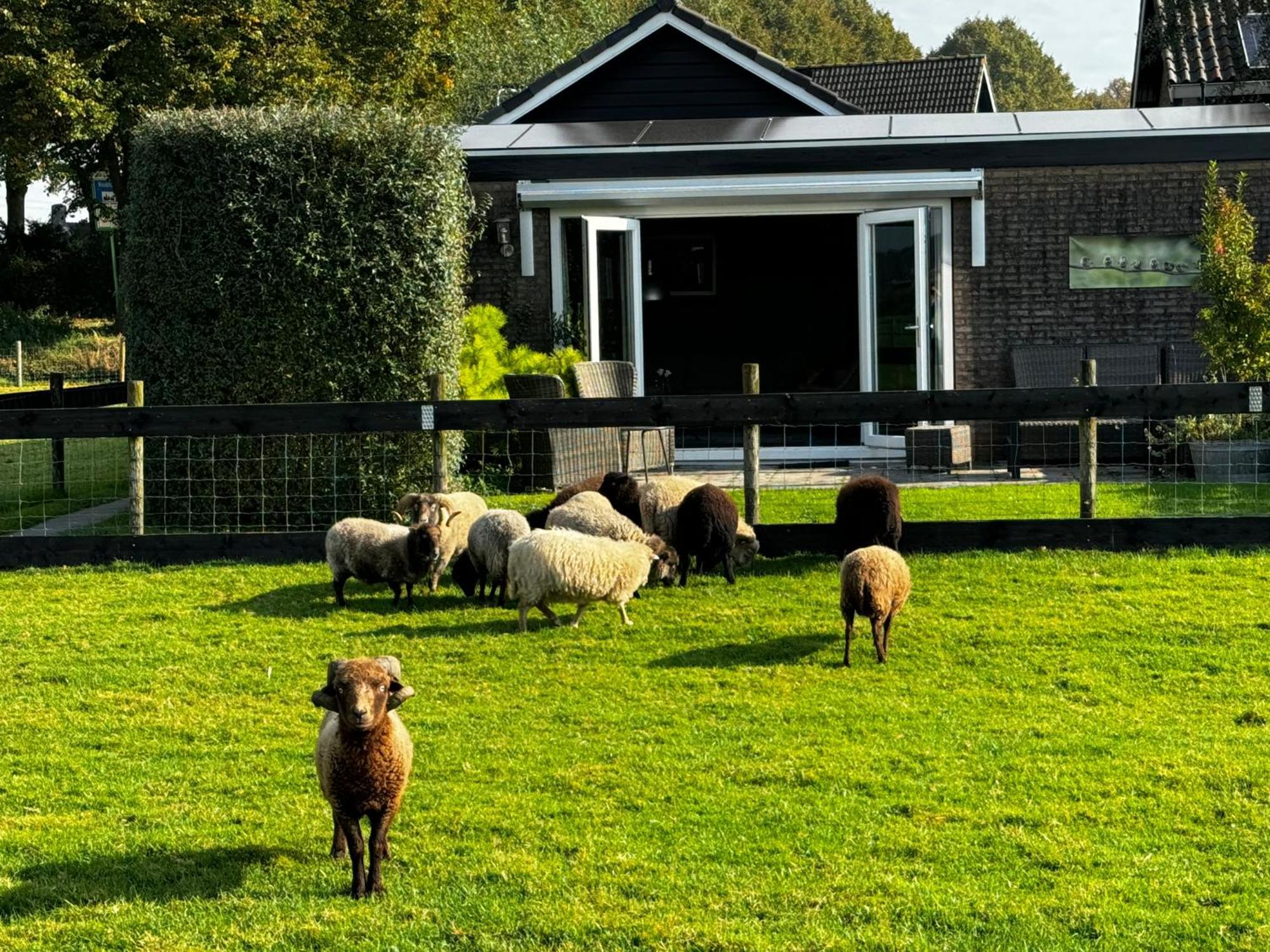 Vakantiewoning Le Garaazje 'S-Gravendeel エクステリア 写真