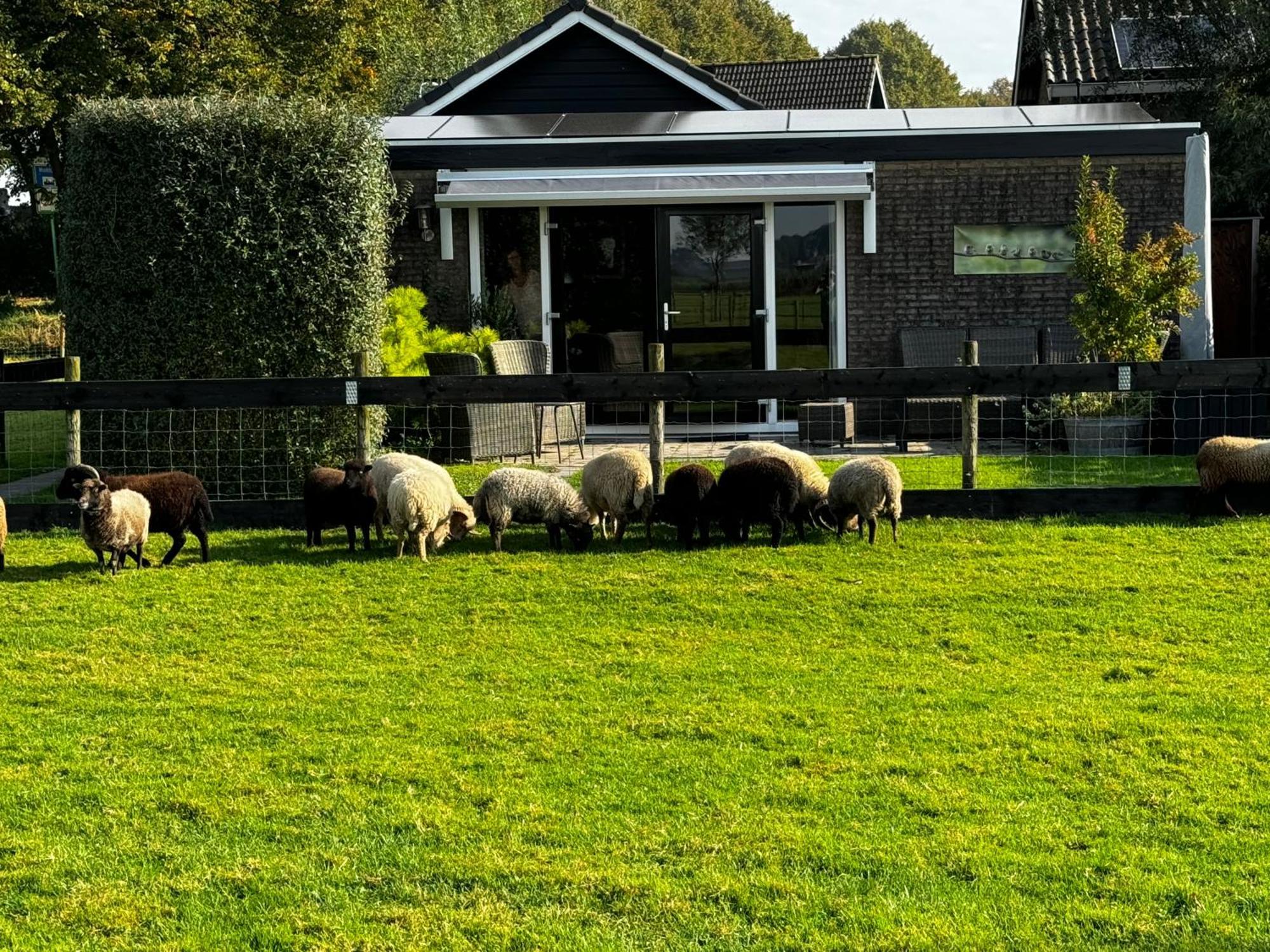 Vakantiewoning Le Garaazje 'S-Gravendeel エクステリア 写真